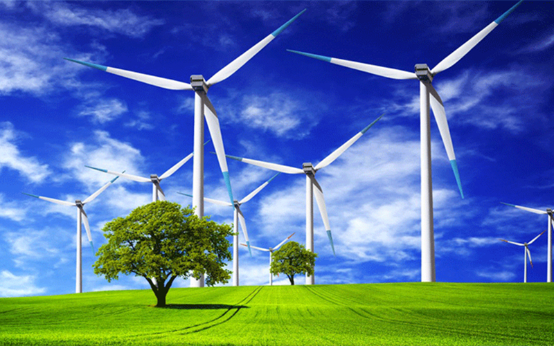 wind-pic